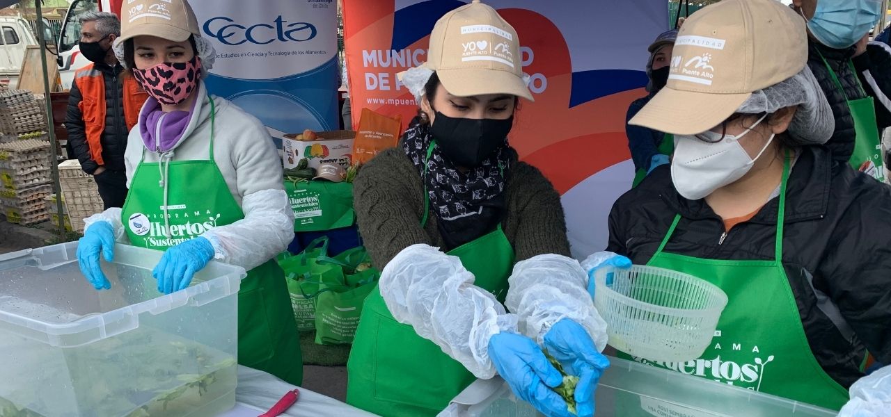 Plan piloto rescata alimentos saludables en Feria Grande de Puente Alto